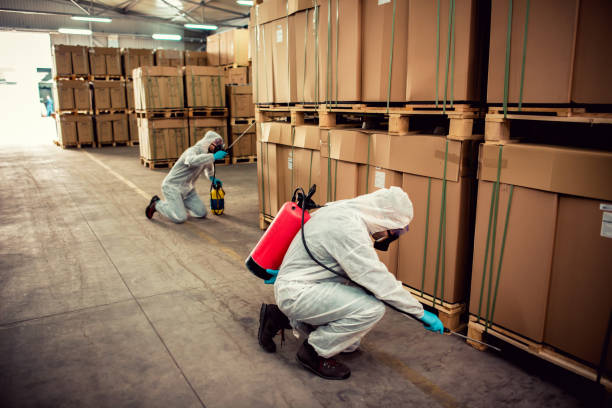 Best Emergency Pest Control  in St Anthony, ID