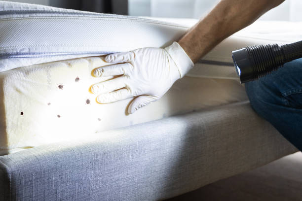  St Anthony, ID Pest Control Pros