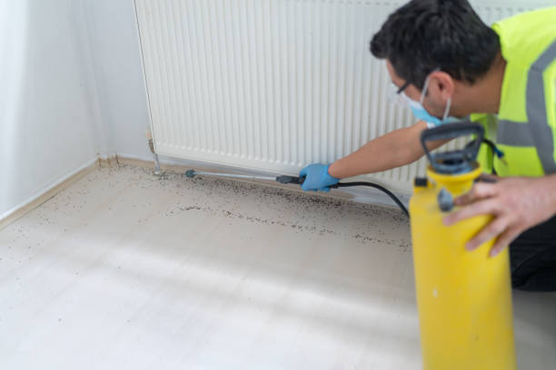 Best Bed Bug Extermination  in St Anthony, ID